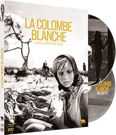 La colombe blanche