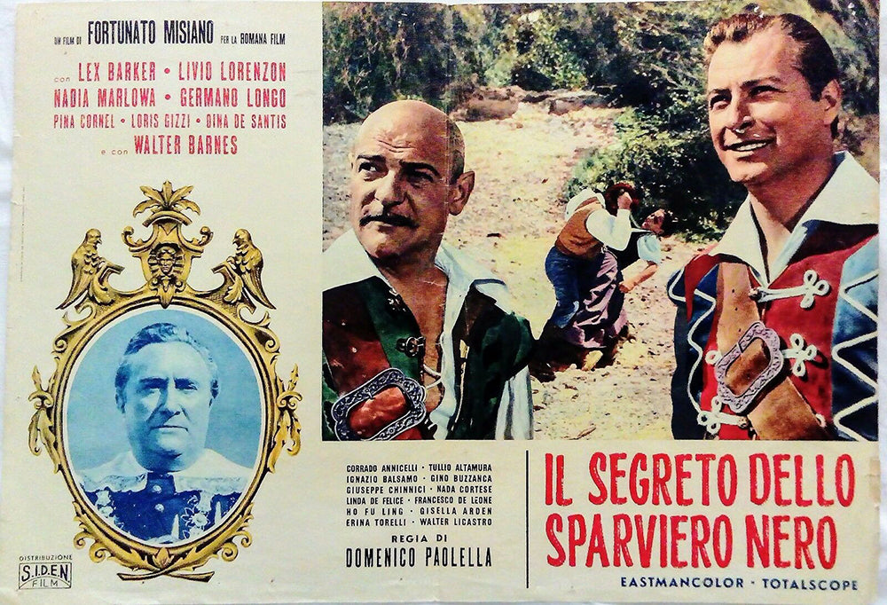 Le secret de l'épervier noir