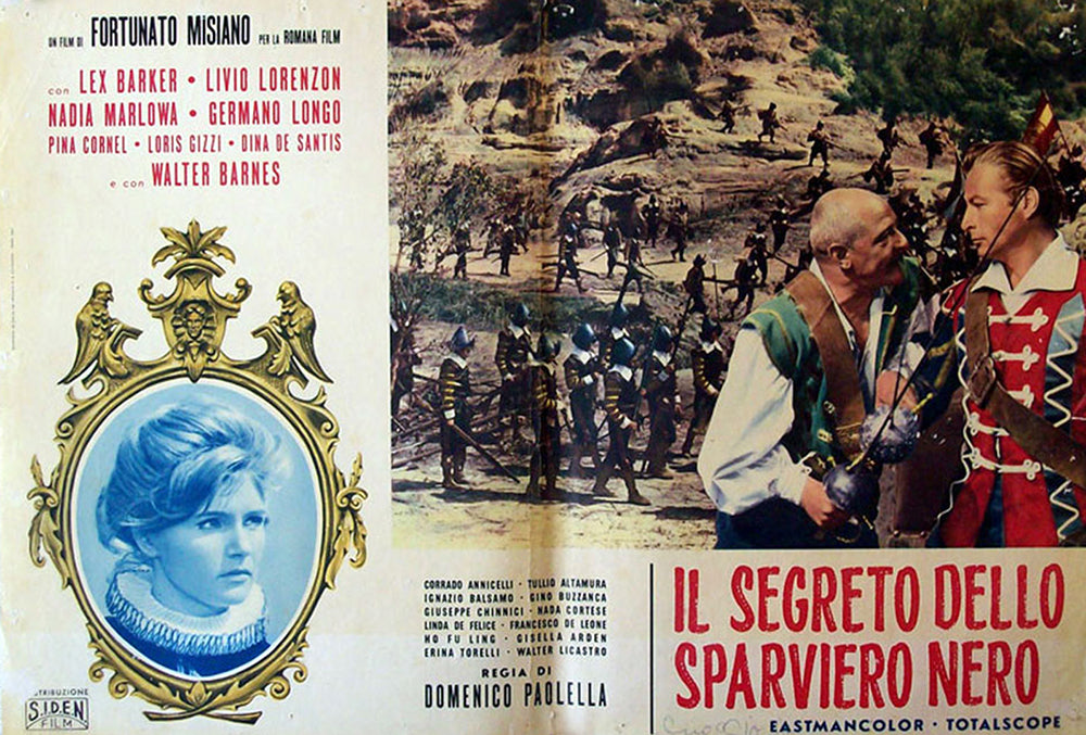 Le secret de l'épervier noir