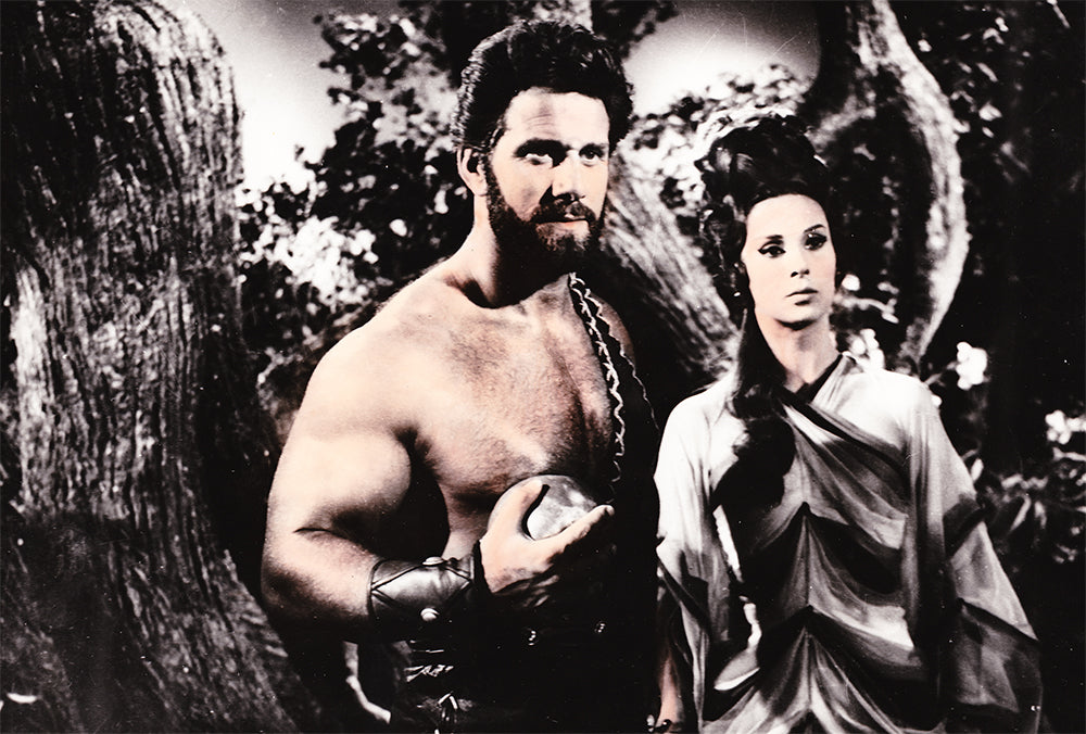 Hercule contre les vampires (combo)