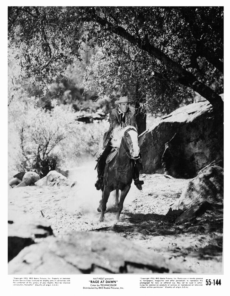 Les rôdeurs de l'aube