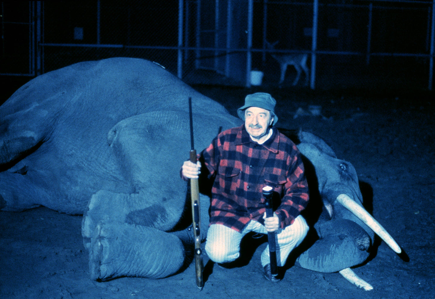 Un zoo la nuit